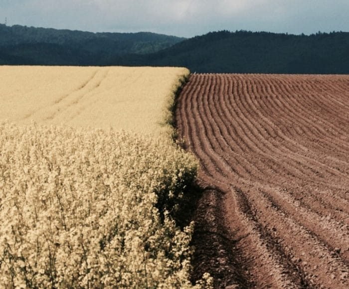 arsa arsa payı nasıl belirlenir; arsa payının düzeltilmesi; arsa payı davası;