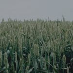 İskan Ruhsatı Talebinin Reddi ve İptal Davası