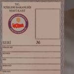 Mavi Kartlıların Yeniden Türk Vatandaşlığına Geçmesi