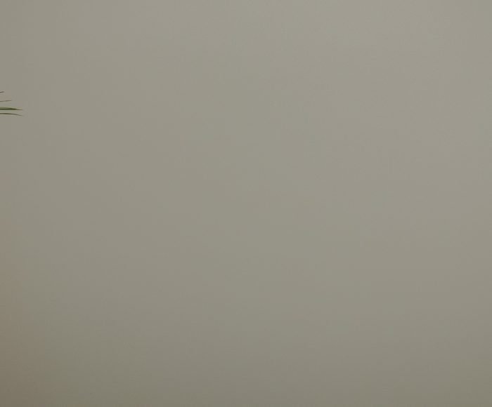 vergi uyuşmazlıkları; vergi uyuşmazlıklarında pişmanlık; vergi uyuşmazlıklarında ıslah;