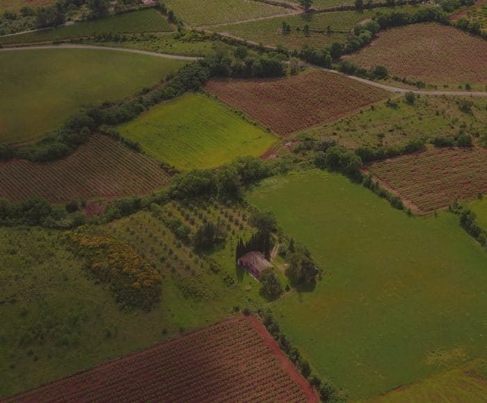 müşterek mülkiyet; elbirliği ile satış; icra yolu ile satış;