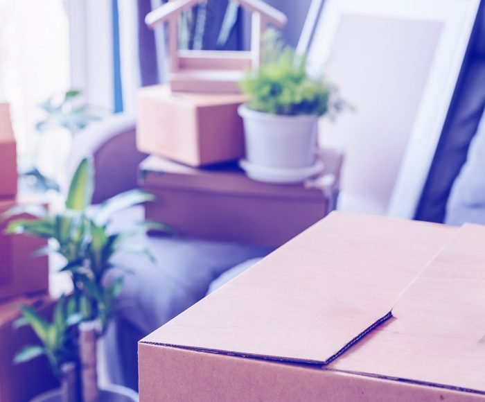 Komşulara Rahatsızlık Verme Nedeniyle Tahliye – TBK m.316